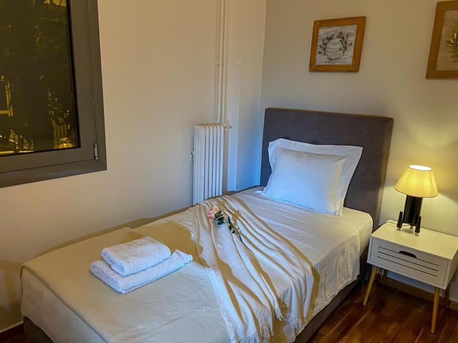 Cozy And Comfortable Apartment In Athens Center ภายนอก รูปภาพ